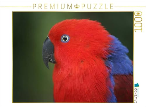 CALVENDO Puzzle Edelpapagei (Weibchen) | 1000 Teile Lege-Größe 64 x 48 cm Foto-Puzzle für glückliche Stunden