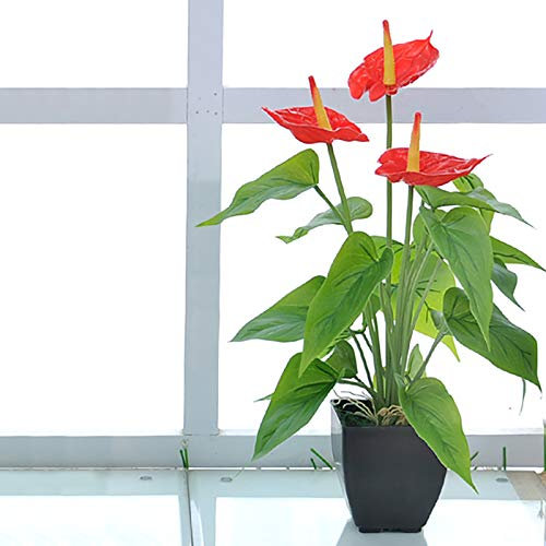 Muium(TM) Kunstpflanze Calla Anthurie Exotische Flamingoblume Flamingo Blume exotische Pflanze mit roten Blüten Flamingopflanze Kunstpflanze Dekopflanze Kunstblume Deko Zimmerpflanze Blumen