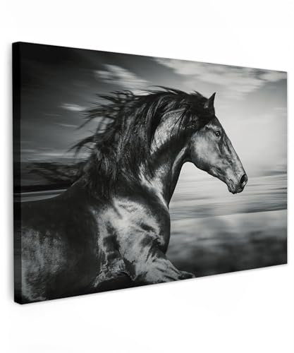 MuchoWow© Leinwandbild 90x60 cm Dekoration Wohnzimmer Bilder Aufhängen Wall Decoration Living Room Wohnungs Deko Moderne Schwarzweiss - Weiss - Pferd - Tiere - Bild Schwarz und Weiß