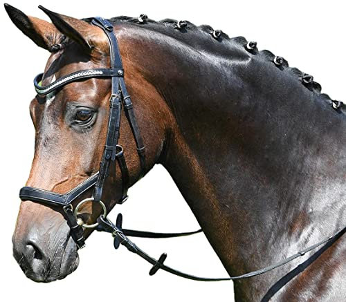 Busse Standard