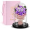 Regalo Per Le Donne, Bouquet Di Rose Rosse Con Cupola In Vetro, Regalo Di Rose Senza Tempo, Per La Coppia, Natale, San Valentino, Festa Della Mamma, Decorazione Interna
