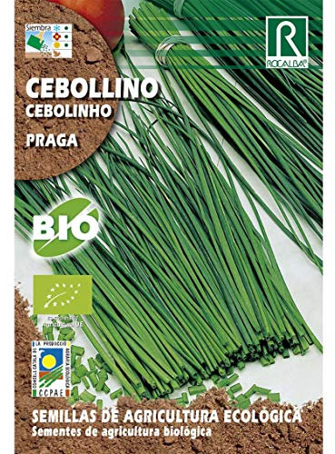 Semillas ecológicas de cebollino Praga