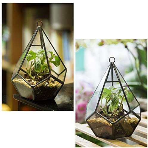 Hängendes Glas-Terrarium, modern, künstlerische Wandträne, geometrische Polyh-Blumentöpfe, für den Außenbereich, groß