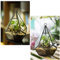 Hängendes Glas-Terrarium, modern, künstlerische Wandträne, geometrische Polyh-Blumentöpfe, für den Außenbereich, groß