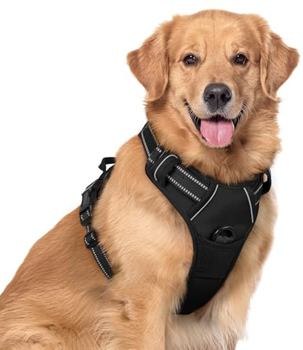 rabbitgoo Dog Harness No Pull with 2 Leash Clips, Adjustable Soft Padded, Reflective Oxford No Choke Pet Vest with Easy Control Handle for Large Dogs, Black, XL