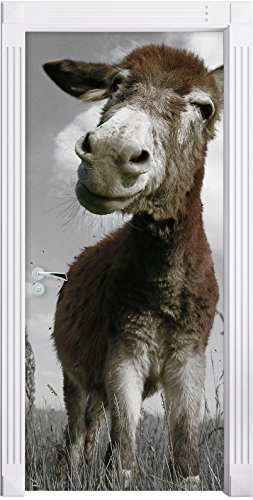Stil.Zeit Möbel Esel in einem Feld in sonnigen Tag B&W Detail als Türtapete, Format: 200x90cm, Türbild, Türaufkleber, Tür Deko, Türsticker