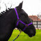 Halfter für Pferd Warmblut, Vollblut, Kaltblut – Stallhalfter, Weidehalfter, 2 Fach verstellbar an Kinnriemen und Genickstück, sicher & reißfest (Lila, Warmblut (Full))