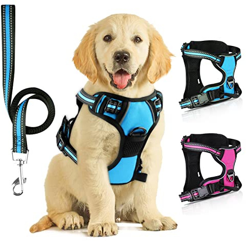 Harnais Chien, Réfléchissant Harnais Anti Traction pour Chien, Bleu, L | avec Laisse pour Chien, pour la Course à Pied, la Marche et le Jogging