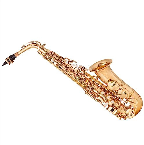 Sassofono Sassofono Contralto E Flat Brass Sax Kit Per Principianti Con Bocchino Tracolla Guanti Custodia Rigida Per Il Trasporto