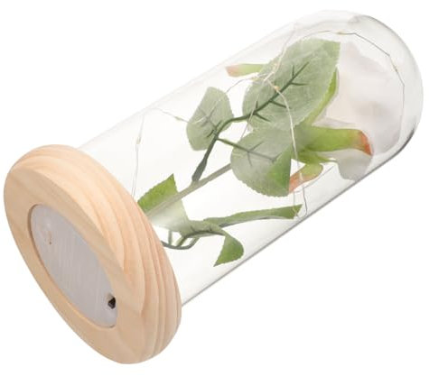 KAILIKETIY 1pièce Ornement De Saint-Valentin Rose Éternelle sous Cloche Verre avec LED Décoration Créative pour Maison Et pour Maman Et
