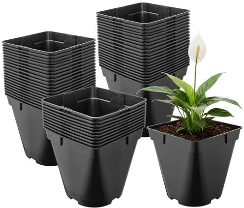 Garronda Pot de Fleur Carré Arrondi Plastique 18 × H 18 cm (4L) Lot 50 Godets Semis Pots de Pépinière Drainage Résistants Intempéries pour Culture Plantes Jardin Serre Intérieur Extérieur GD-0200