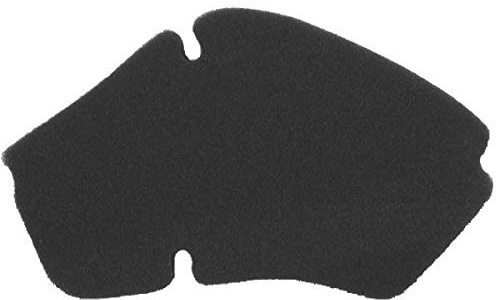 Filtro Aria Nypso compatibile con Piaggio Sfera Rst/per Vespa Et2 50cc/Liberty/per Vespa Et4 125cc