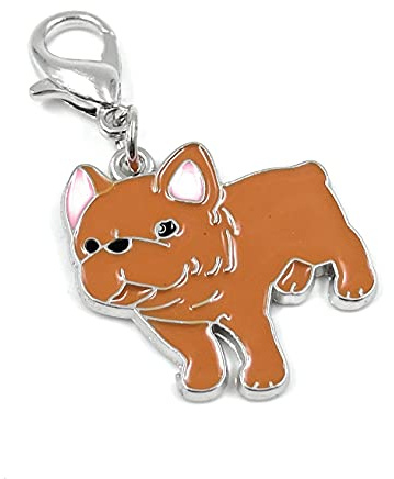 Onwomania - Bulldogge Orange Hund Schlüsselanhänger - Metall Glücksbringer ideal als Geschenk z.B. für den besten Freund, die beste Freundin, Mama - Für Männer, Frauen & Kinder
