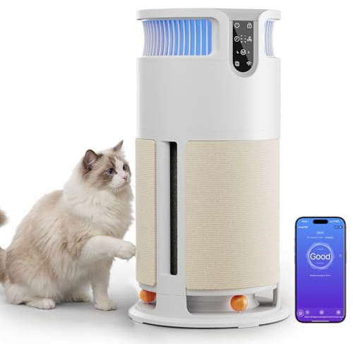 JUMMICO Haustier-spezifischer Luftreiniger - Air Purifier 100m² Abdeckung, abnehmbares Kratzbrett + 3 Bälle, H13 HEPA-Filter, CADR 350m³/h, APP-Steuerung, leise, entfernt Tierhaare & Gerüche