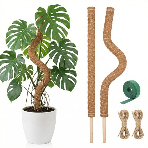 Monstera Rankhilfe, 2 Stück 80cm Biegsamer Kokos Pflanzstab mit Zubehör, Kokosfaser Moosstab für Monstera Stab Kletterpflanzen im Innenbereich