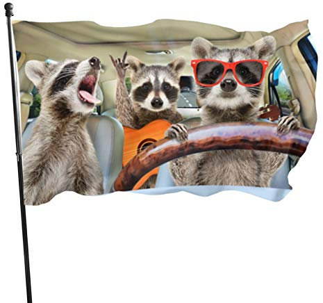 Luddou Flagge, Lustige Waschbären 3 x 5 ft (90 x 150 cm), UV-beständig, Polyester, Festival Party, Garten, Balkon, Innenraum, Outdoor