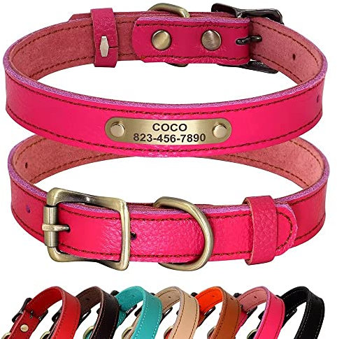 PET ARTIST Collier de Chien personnalisé en Cuir véritable, Collier léger et Doux, 7 Belles Couleurs, Collier Durable pour Chiot et Petits Chiens, Rose M