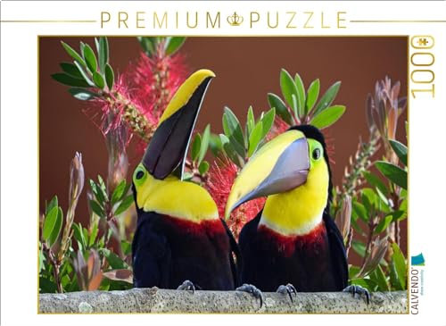 CALVENDO Puzzle Swainson Tukan | 1000 Teile Lege-Größe 64 x 48 cm Foto-Puzzle für glückliche Stunden