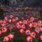 Starnearby 2 Stück Solarlampen Halloween Deko Outdoor Garten, 10 LED Augapfel Gartenlichter Halloween Lichter, IP65 Wasserdicht Halloween Deko Lichterkette für Außen Garten (Rot)