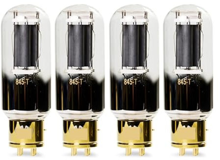 LNWZVMZFV 845-T 845T Vakuumröhre HiFi Audio Röhrenverstärker Bausatz DIY(4 PCS)