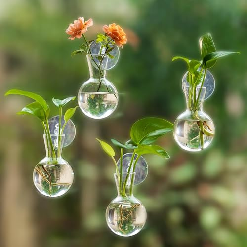 Glasseam Plant Propagation Station for Window: 4 Pcs Small Bulb Bud Vases | Hanging Glass Planter Terrarium with Suction Cups, For Hydroponic, Herb, Cutting, Living Room, Kitchen, Office, Home Decor