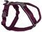 Non-stop dogwear Line Harness 5.0 |215| Führ und Alltagsgeschirr in Purple, Größe:G 4
