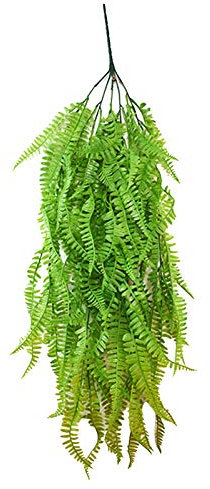 Mini Kakteen Schlüsselanhänger Ornamente, künstliche grüne Farnpflanzen, Dekoration, grünes Gras, Simulation, Heimdekoration Mein Flaschengarten (Green, One Size)