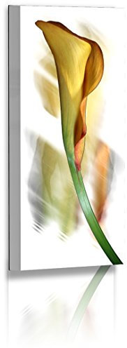Premium Leinwandbild XXL - Natur - Blumenfotos - Calla - Blume - Abstrakte Bilder - Leinwand : 120 cm x 60 cm
