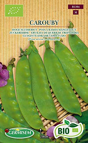 Germisem Bio Graines Pois à rames mangetout CAROUBY