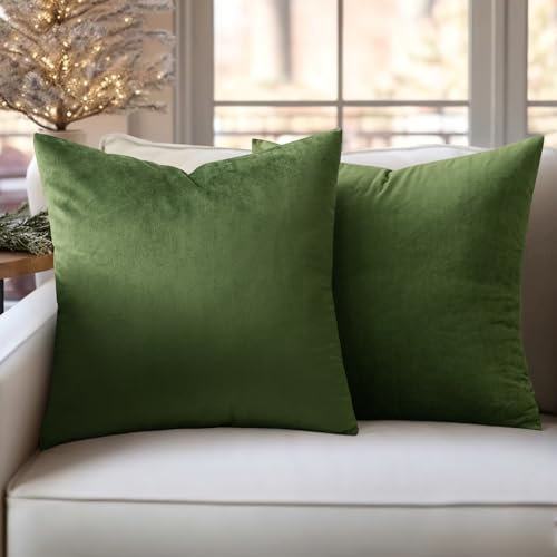 Slozzi 2er Set Samt Kissenbezüge Haushalt Dekokissen Dekorative Kissenhülle Weich Sofakissen für Sofa Schlafzimmer Wohnzimmer 40x40 cm Matcha Grün