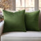 Slozzi 2er Set Samt Kissenbezüge Haushalt Dekokissen Dekorative Kissenhülle Weich Sofakissen für Sofa Schlafzimmer Wohnzimmer 40x40 cm Matcha Grün