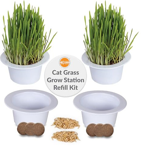 K&H Pet Products Cat Grass Grow Station Growing Cup Refills for K&H EZ Mount Products, Healthy Home Grown Grass Cat Toys for Bored Indoor Adult Kitties, Farmed in USA, Non-GMO - Refill ONLY, 2 Pack