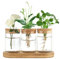 Dahey Pflanzenvermehrung, Terrarium, Schreibtisch, Glas, Pflanzstation, Wasserpflanzung, Glasvase mit Deckel und Holzständer für die Vermehrung von Hydrokulturpflanzen, Dekoration, 3 Stück