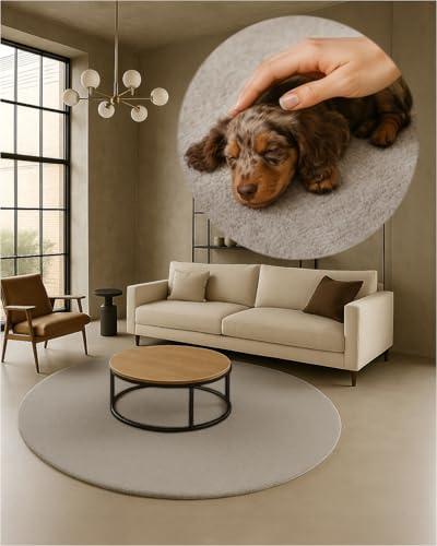 TEXMAXX Weicher Kurzflor Teppich Wohnzimmer mit rutschhemmender Rückseite (100 x 100 cm Rund) - Modern für Flur, Esszimmer und als Schlafzimmer Teppich in Beige - Waschbar bis 30 Grad