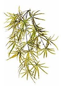 Pianta Pendente Acero Artificiale Verde e Giallo 75 cm