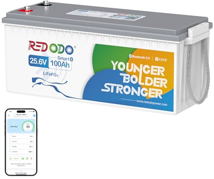 Redodo 24V 100Ah Bluetooth Batterie Lithium,Batterie LiFePO4 avec Protection Low-Temp,BMS 100A,2560Wh,Rechargeable,Parfaite Batterie de Remplacement au Plomb pour Camping-Cars, Solaire