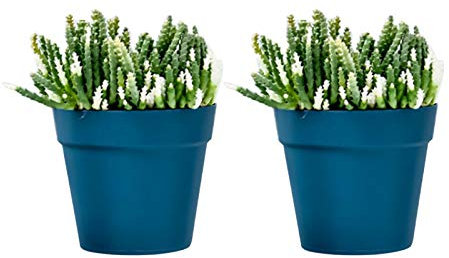 Atlnso Lot de 2 Pots de Fleurs muraux en Plastique - pour l'intérieur, l'extérieur, Jardin, Balcon, Blanc crème, Bleu