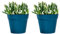 Atlnso Lot de 2 Pots de Fleurs muraux en Plastique - pour l'intérieur, l'extérieur, Jardin, Balcon, Blanc crème, Bleu