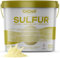 GiDeli Zolfo in polvere 1000 g inorganico 99,9% fine per l'industria cosmetica per la cura del suolo, piante zolfo in secchio 1 kg