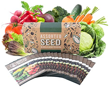 Mountain Valley Seed Co Salad Garden Seed Collection Assortment 18 Non-GMO