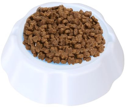 Gamelle rafraîchissante pour Animaux de Compagnie, gamelle rafraîchissante pour Chien - Bol d'eau Froide pour Chien | Accessoires d'alimentation en Eau pour Animaux de Compagnie, Bol de Glace