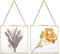 SUMNACON 2 Pack Golden Glass Hanging Artwork Display Photo Frame 20 * 20cm Fotorahmen für Familie Hochzeit Foto Geometrische Ornament Pflanze Probe Clip Für gepresste Blumen Fotos