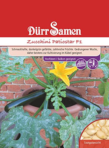 Topf Zucchini Samen Patiostar F1 Zucchinisamen Gemüsesamen 4 Korn Garten Hochbeet Balkon Saatgut Dürr Samen