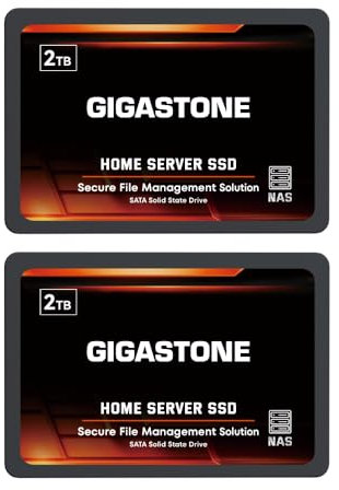 Gigastone Server SSD 2TB (Set di 2) NAS SSD Cache 24 ore su 24, 7 giorni su 7 TLC ad alta resistenza Business Secure Personal Cloud Creativo Professionale Rete Legata Archiviazione Raid 2,5 SATA Hard