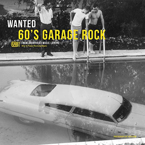 Wanted 60'S Garage Rock [Vinyl LP]