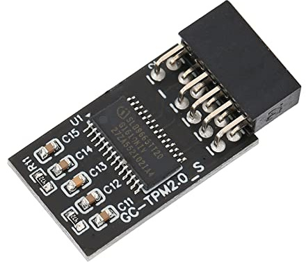 PUSOKEI Modulo di Sicurezza di Crittografia TPM2.0, Modulo di Sicurezza di Crittografia della Scheda Remota LPC TMP2.0 a 12 Pin per Scheda Madre Compatibile 8.1/7/10/11