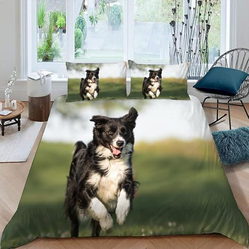 VIMOOR Bettwäsche 135x200 Border Collie 3D Bettwäsche Set 3teilig für Kinder Jungen Mädchen Hund, Tier 100% Mikrofaser Weich Teenager Bettbezug mit Reißverschluss und 2 Kissenbezüge 80x80 Winter