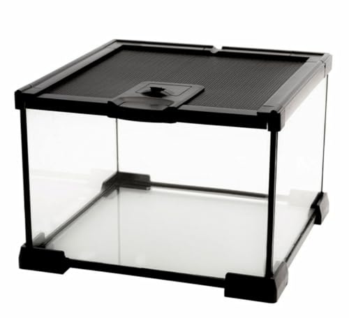 AWXZOM Mini-Reptilien-Glas-Terrarium, Käfig für Vogelspinnen, Schlinge, Geckos, Frosch, Eidechsen, Chamäleons, Schildkröten, Schlangen, Schnecken, Insekten, Einsiedler, Krabben, Isopoden,