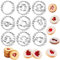 Kiiwah 9 Stück Weihnachten Linzer Ausstecher Set, Mini Edelstahl Keksausstecher Klein Weihnachten Ausstecher für Plätzchen, Backform, Kekse und Fondant