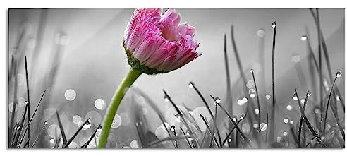 Pixxprint Glasbild Panorama, Wandbild aus Echtglas, rosa Gänseblümchen im Gras, 100x40 cm, inkl. Aufhängung und Abstandshalter